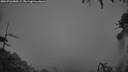 ./images/calvert/fitz-hugh-hecate/20260718/fitz-hugh-hecate20260718_050501M.jpg