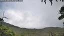 ./images/calvert/fitz-hugh-hecate/20260718/fitz-hugh-hecate20260718_132001M.jpg