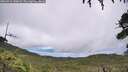 ./images/calvert/fitz-hugh-hecate/20260718/fitz-hugh-hecate20260718_140002M.jpg