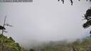 ./images/calvert/fitz-hugh-hecate/20260718/fitz-hugh-hecate20260718_160001M.jpg