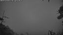 ./images/calvert/fitz-hugh-hecate/20260718/fitz-hugh-hecate20260718_222501M.jpg