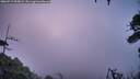 ./images/calvert/fitz-hugh-hecate/20260719/fitz-hugh-hecate20260719_055001M.jpg