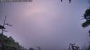 ./images/calvert/fitz-hugh-hecate/20260719/fitz-hugh-hecate20260719_055501M.jpg