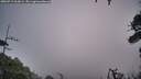 ./images/calvert/fitz-hugh-hecate/20260719/fitz-hugh-hecate20260719_063001M.jpg