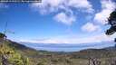 ./images/calvert/fitz-hugh-hecate/20260719/fitz-hugh-hecate20260719_125501M.jpg