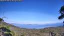 ./images/calvert/fitz-hugh-hecate/20260719/fitz-hugh-hecate20260719_154501M.jpg