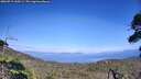 ./images/calvert/fitz-hugh-hecate/20260719/fitz-hugh-hecate20260719_160501M.jpg
