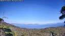 ./images/calvert/fitz-hugh-hecate/20260719/fitz-hugh-hecate20260719_161001M.jpg