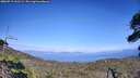 ./images/calvert/fitz-hugh-hecate/20260719/fitz-hugh-hecate20260719_161501M.jpg