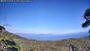 ./images/calvert/fitz-hugh-hecate/20260719/fitz-hugh-hecate20260719_162502M.jpg