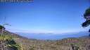 ./images/calvert/fitz-hugh-hecate/20260719/fitz-hugh-hecate20260719_163501M.jpg