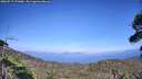 ./images/calvert/fitz-hugh-hecate/20260719/fitz-hugh-hecate20260719_171001M.jpg
