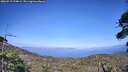 ./images/calvert/fitz-hugh-hecate/20260719/fitz-hugh-hecate20260719_174001M.jpg