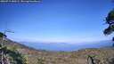 ./images/calvert/fitz-hugh-hecate/20260719/fitz-hugh-hecate20260719_180502M.jpg