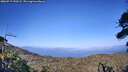 ./images/calvert/fitz-hugh-hecate/20260719/fitz-hugh-hecate20260719_190501M.jpg