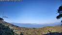 ./images/calvert/fitz-hugh-hecate/20260719/fitz-hugh-hecate20260719_194002M.jpg