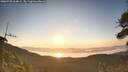 ./images/calvert/fitz-hugh-hecate/20260720/fitz-hugh-hecate20260720_064002M.jpg