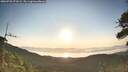 ./images/calvert/fitz-hugh-hecate/20260720/fitz-hugh-hecate20260720_071001M.jpg