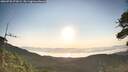 ./images/calvert/fitz-hugh-hecate/20260720/fitz-hugh-hecate20260720_072001M.jpg