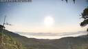 ./images/calvert/fitz-hugh-hecate/20260720/fitz-hugh-hecate20260720_073502M.jpg