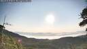 ./images/calvert/fitz-hugh-hecate/20260720/fitz-hugh-hecate20260720_075001M.jpg