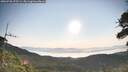 ./images/calvert/fitz-hugh-hecate/20260720/fitz-hugh-hecate20260720_075501M.jpg