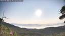 ./images/calvert/fitz-hugh-hecate/20260720/fitz-hugh-hecate20260720_080001M.jpg