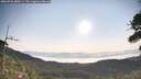 ./images/calvert/fitz-hugh-hecate/20260720/fitz-hugh-hecate20260720_080501M.jpg