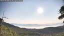 ./images/calvert/fitz-hugh-hecate/20260720/fitz-hugh-hecate20260720_082001M.jpg