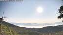 ./images/calvert/fitz-hugh-hecate/20260720/fitz-hugh-hecate20260720_082502M.jpg