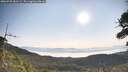 ./images/calvert/fitz-hugh-hecate/20260720/fitz-hugh-hecate20260720_083501M.jpg