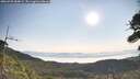 ./images/calvert/fitz-hugh-hecate/20260720/fitz-hugh-hecate20260720_084001M.jpg