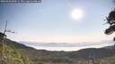 ./images/calvert/fitz-hugh-hecate/20260720/fitz-hugh-hecate20260720_084501M.jpg