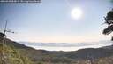./images/calvert/fitz-hugh-hecate/20260720/fitz-hugh-hecate20260720_085001M.jpg