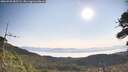 ./images/calvert/fitz-hugh-hecate/20260720/fitz-hugh-hecate20260720_085501M.jpg