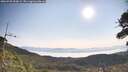 ./images/calvert/fitz-hugh-hecate/20260720/fitz-hugh-hecate20260720_090002M.jpg