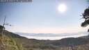 ./images/calvert/fitz-hugh-hecate/20260720/fitz-hugh-hecate20260720_090502M.jpg