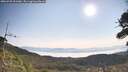 ./images/calvert/fitz-hugh-hecate/20260720/fitz-hugh-hecate20260720_091001M.jpg