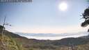 ./images/calvert/fitz-hugh-hecate/20260720/fitz-hugh-hecate20260720_091501M.jpg
