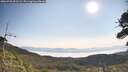 ./images/calvert/fitz-hugh-hecate/20260720/fitz-hugh-hecate20260720_092501M.jpg