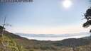 ./images/calvert/fitz-hugh-hecate/20260720/fitz-hugh-hecate20260720_093501M.jpg