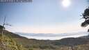 ./images/calvert/fitz-hugh-hecate/20260720/fitz-hugh-hecate20260720_094002M.jpg