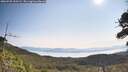 ./images/calvert/fitz-hugh-hecate/20260720/fitz-hugh-hecate20260720_100501M.jpg