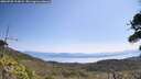 ./images/calvert/fitz-hugh-hecate/20260720/fitz-hugh-hecate20260720_113002M.jpg