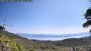 ./images/calvert/fitz-hugh-hecate/20260720/fitz-hugh-hecate20260720_113501M.jpg