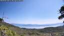 ./images/calvert/fitz-hugh-hecate/20260720/fitz-hugh-hecate20260720_114501M.jpg