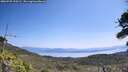 ./images/calvert/fitz-hugh-hecate/20260720/fitz-hugh-hecate20260720_120501M.jpg