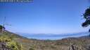 ./images/calvert/fitz-hugh-hecate/20260720/fitz-hugh-hecate20260720_144002M.jpg
