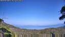 ./images/calvert/fitz-hugh-hecate/20260720/fitz-hugh-hecate20260720_154001M.jpg