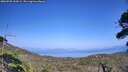 ./images/calvert/fitz-hugh-hecate/20260720/fitz-hugh-hecate20260720_154502M.jpg